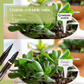 120 Étiquettes Jardin Blanches à Planter en Plastique + Marqueur | Forme T à Piquer