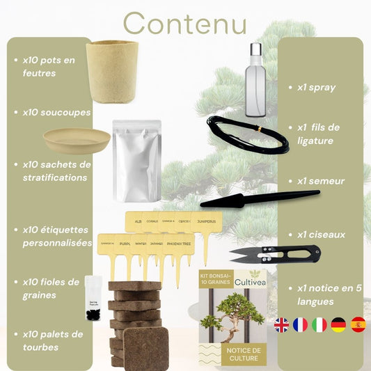 Kit 10 Bonsaïs à faire pousser avec accessoires
