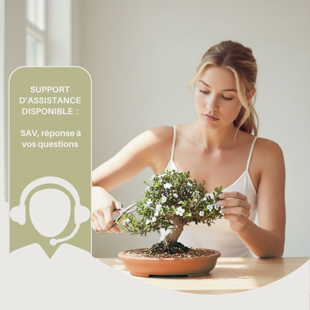 Kit 10 Bonsaïs à faire pousser avec accessoires