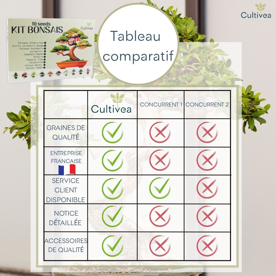 Kit 10 Bonsaïs à faire pousser avec accessoires