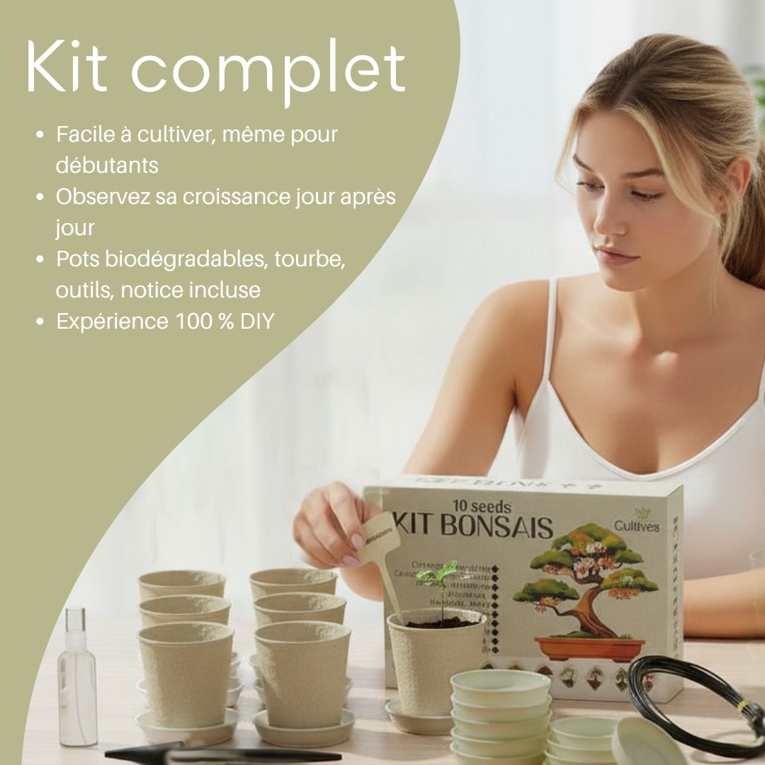 Kit 10 Bonsaïs à faire pousser avec accessoires