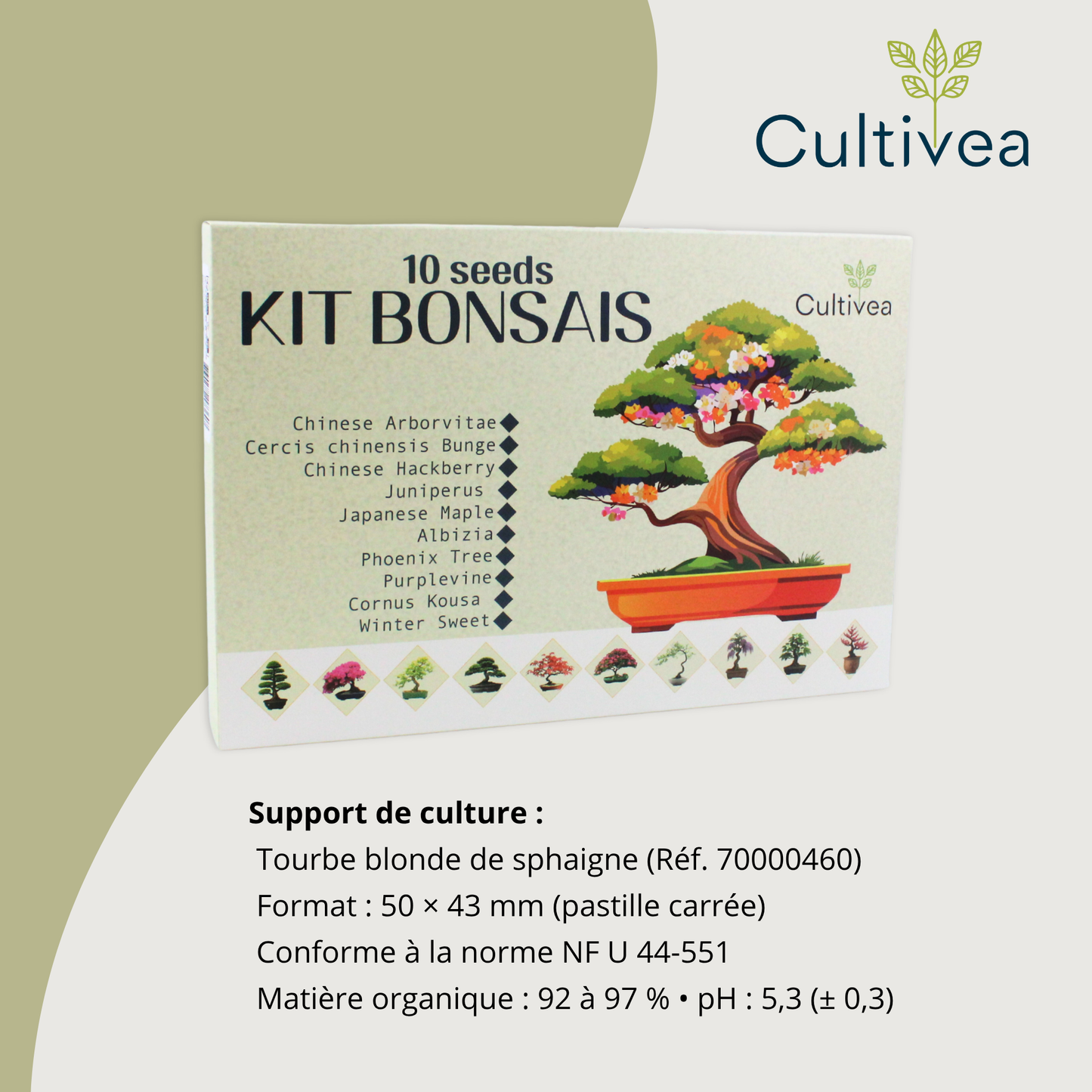 Set mit 10 Bonsai zum Anziehen inkl. Zubehör