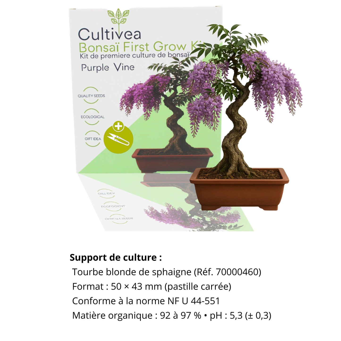 First Bonsai Set – Purple Vine
