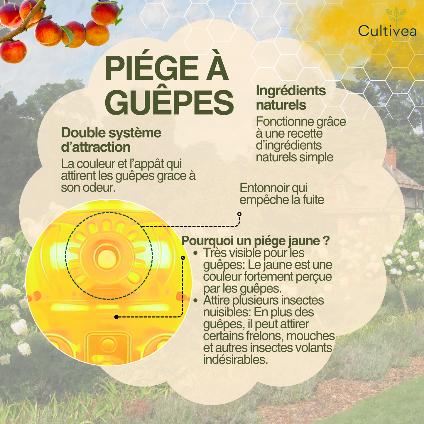 Piège à Guêpes et Frelons Extérieur Réutilisable