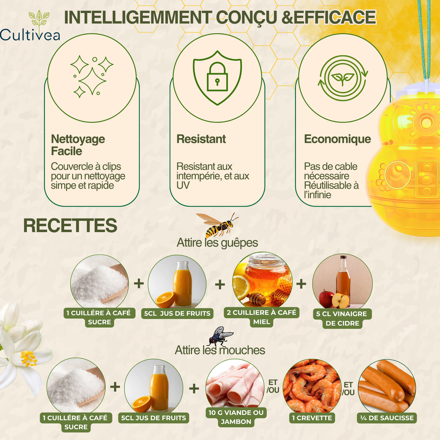 Piège à Guêpes et Frelons Extérieur Réutilisable