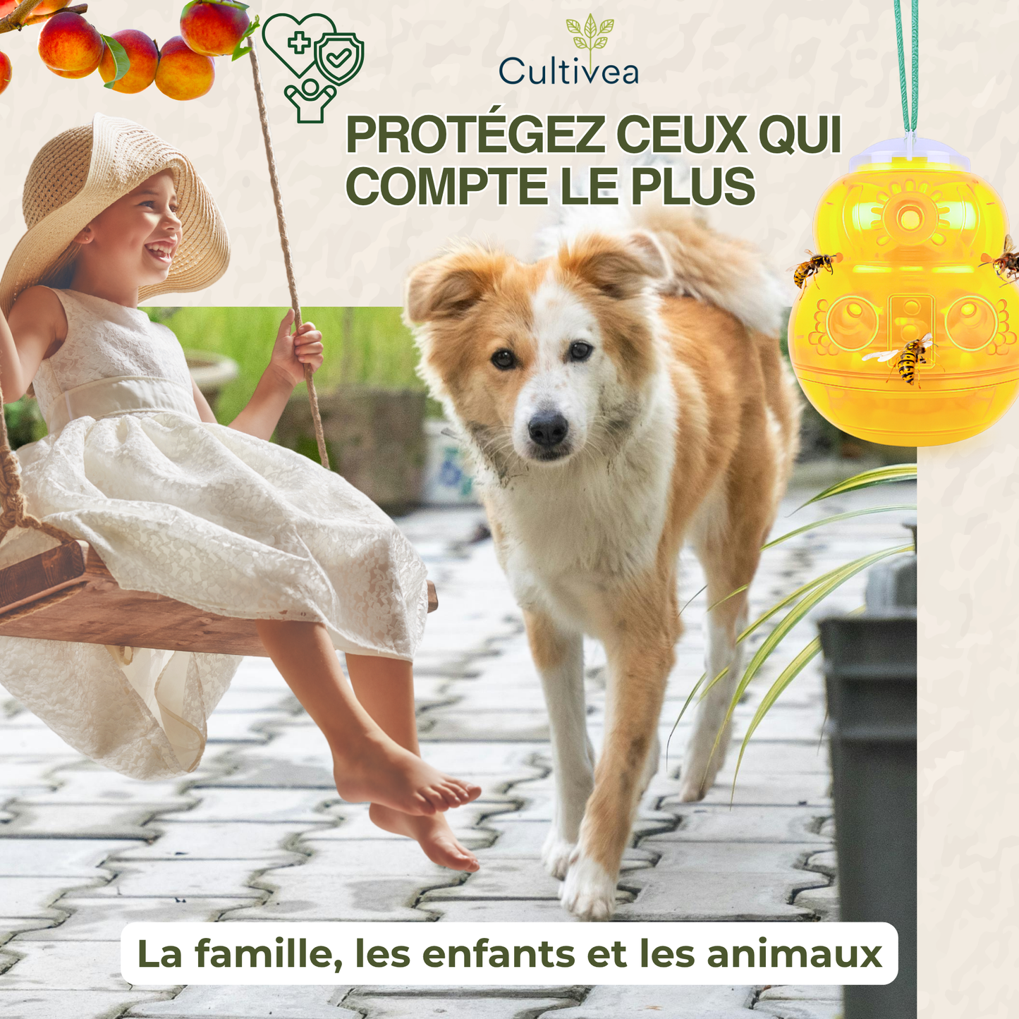 Piège à Guêpes et Frelons Extérieur Réutilisable