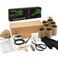 Kit Bonsai Box Experience