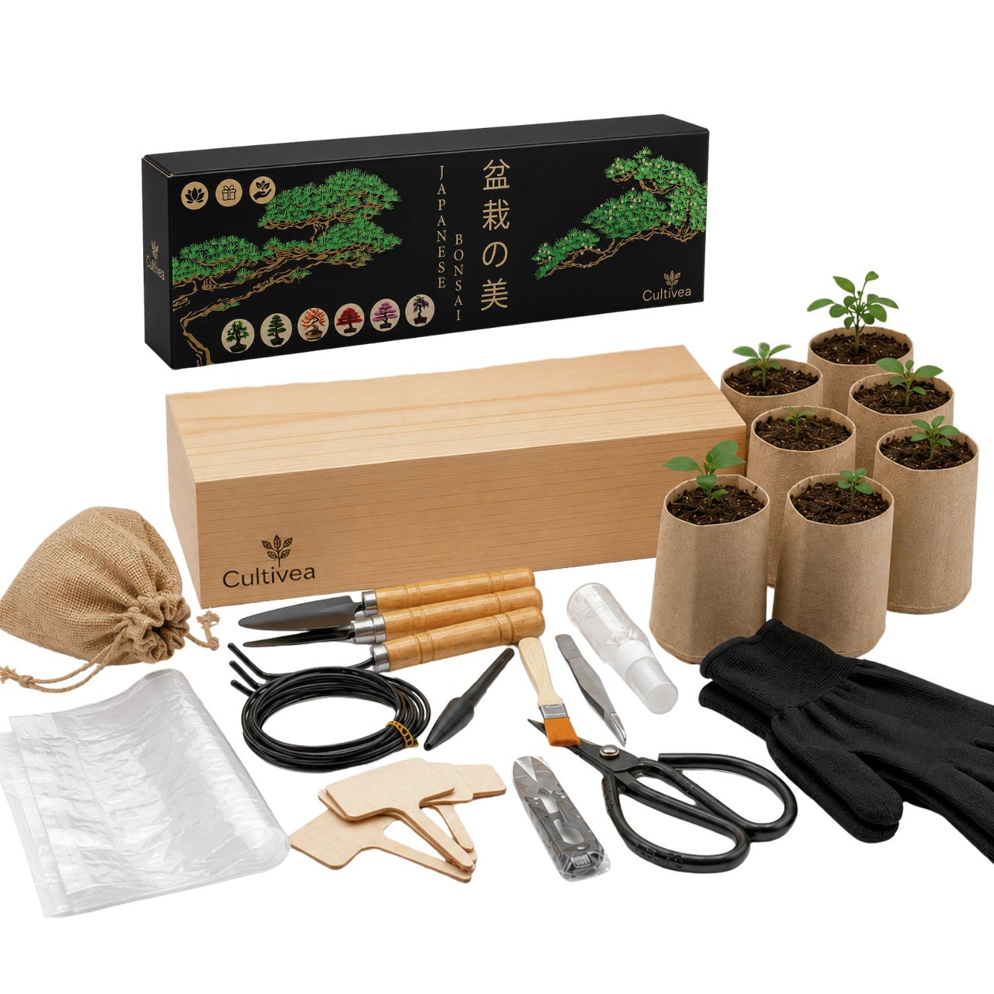 Kit Bonsai Box Experience