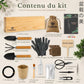 Kit Bonsai Box Experience