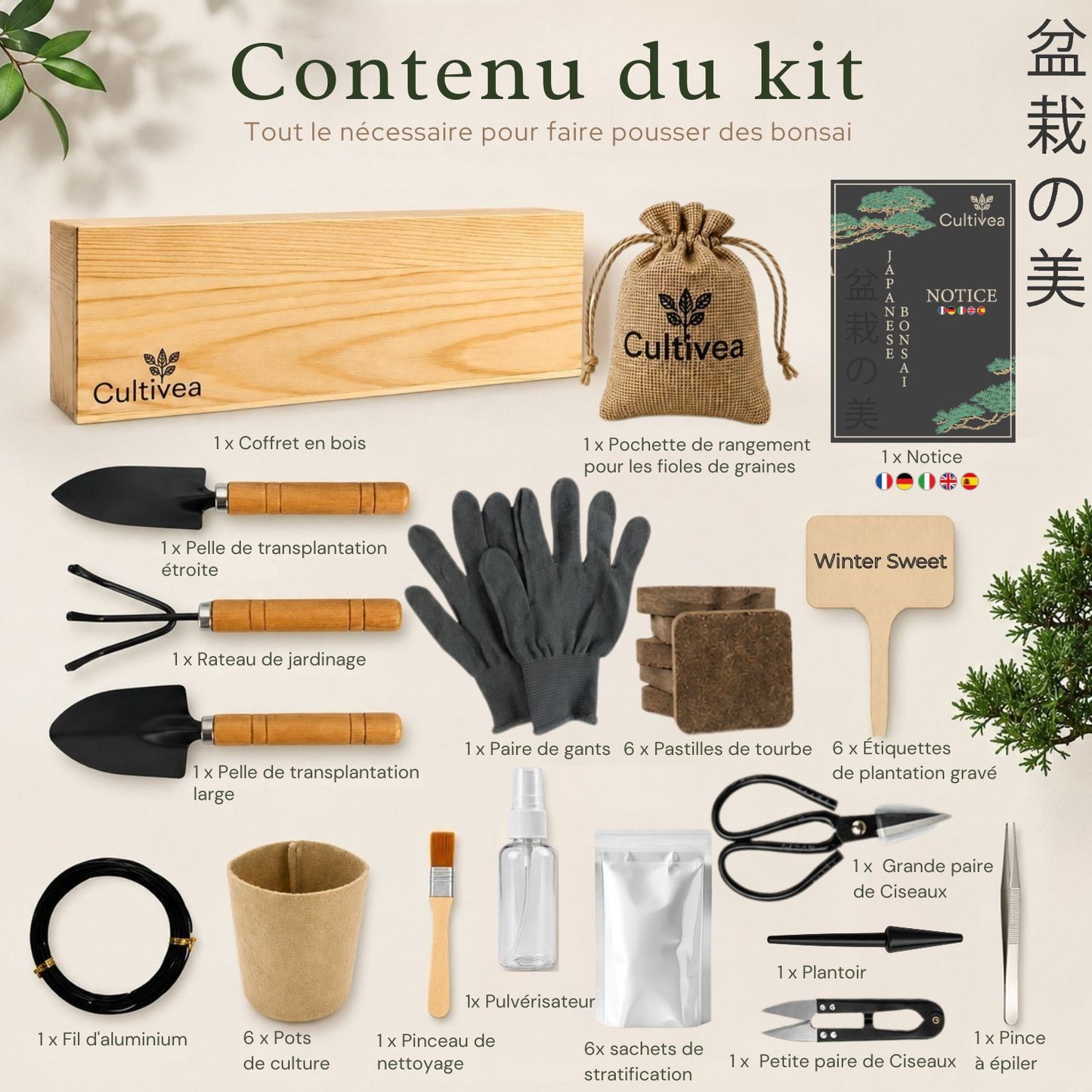 Kit Bonsai Box Experience