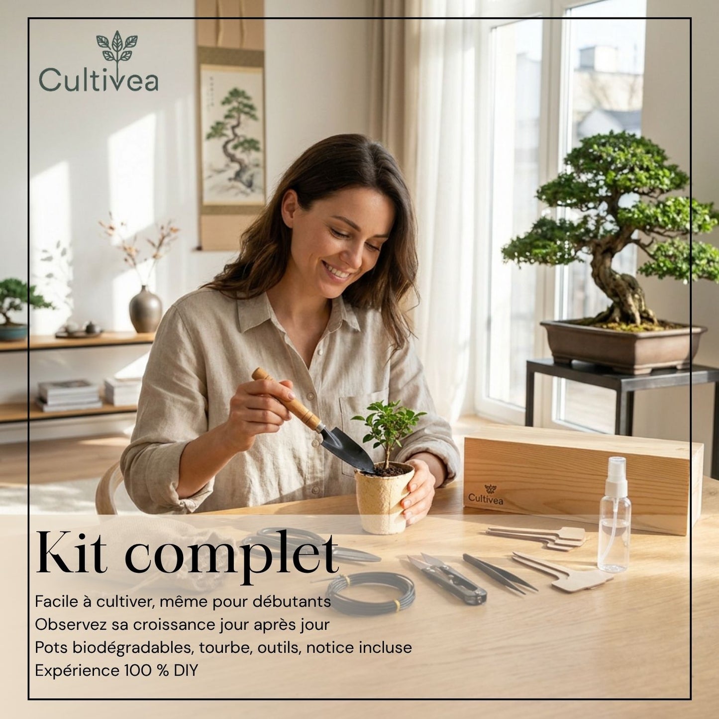 Kit Bonsai Box Experience