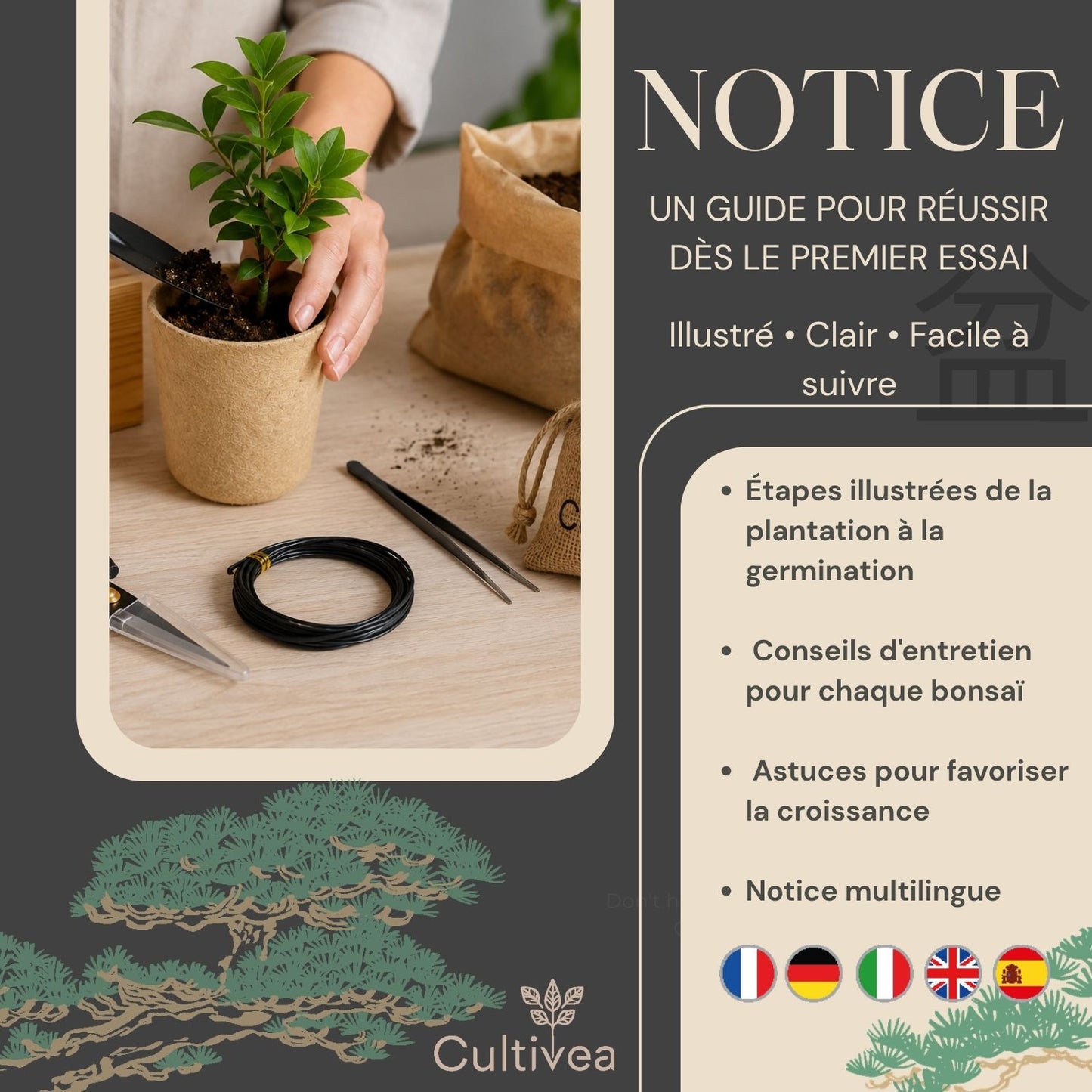 Kit Bonsai Box Experience