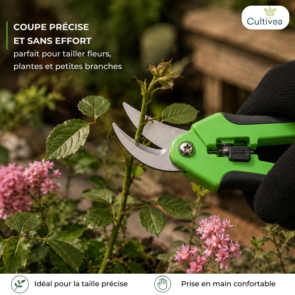 Mallette à outils essentiels – 11 outils pour bonsaï