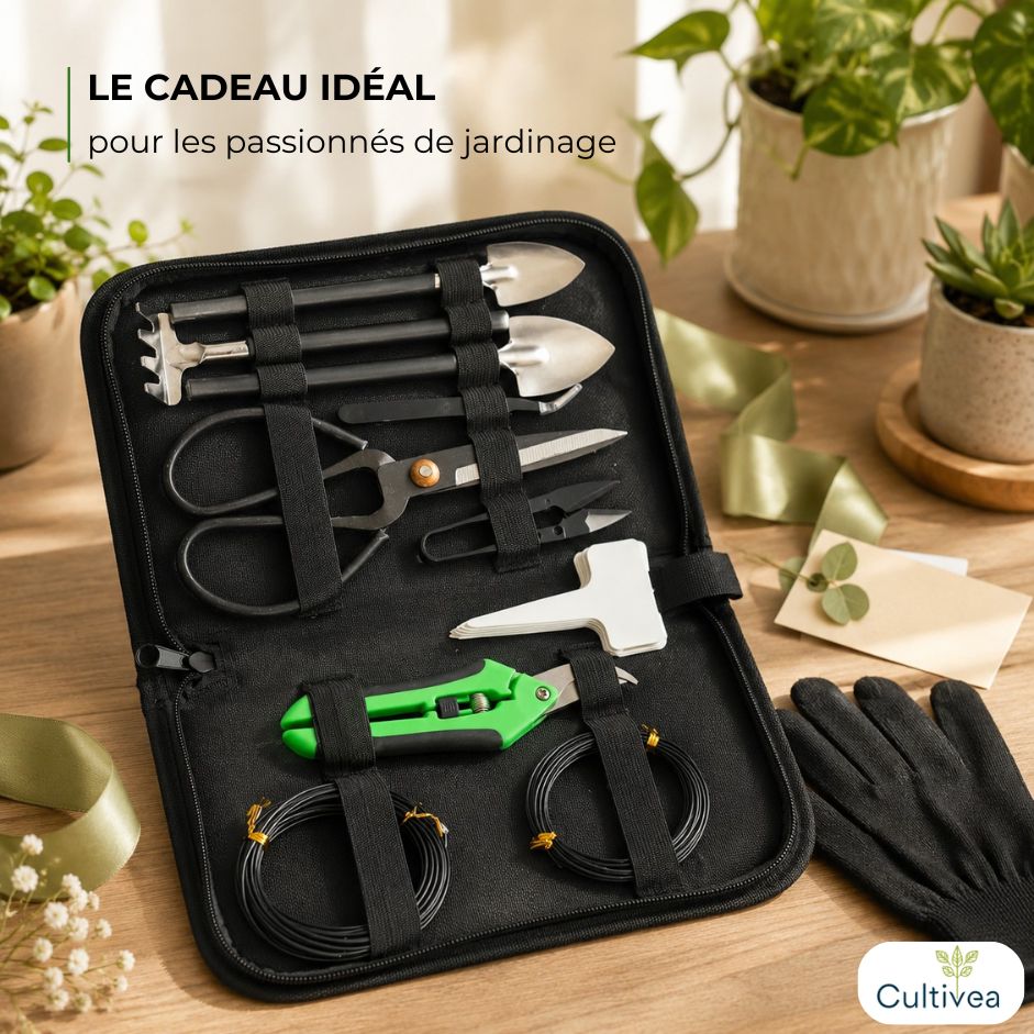 Mallette à outils essentiels – 11 outils pour bonsaï