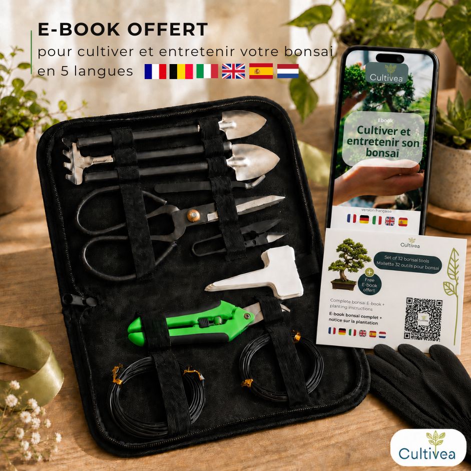 Mallette à outils essentiels – 11 outils pour bonsaï