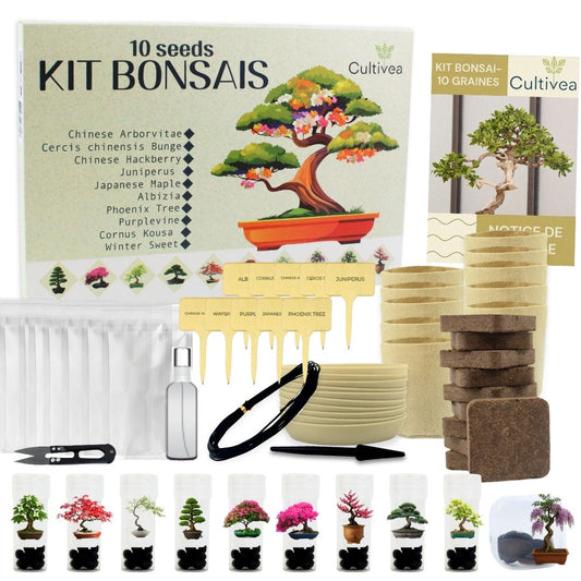 Kit 10 Bonsaïs à faire pousser avec accessoires